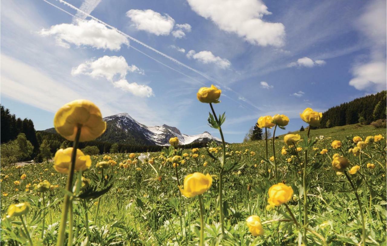 Rosa Bilo 2 Lägenhet Carisolo Exteriör bild